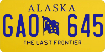 AK license plate GAO645