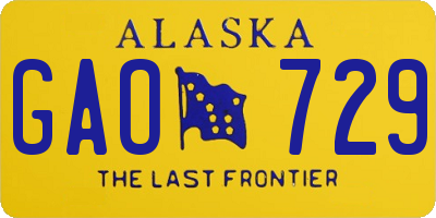 AK license plate GAO729