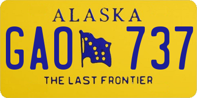 AK license plate GAO737
