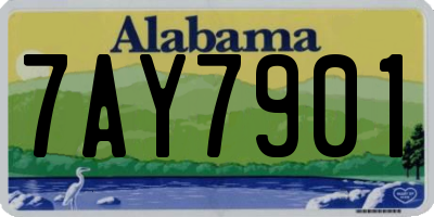AL license plate 7AY7901
