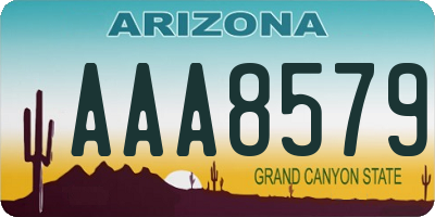 AZ license plate AAA8579