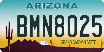 AZ license plate BMN8025