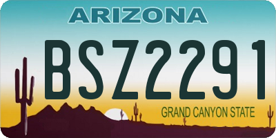 AZ license plate BSZ2291