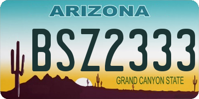 AZ license plate BSZ2333