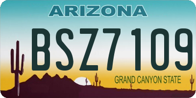 AZ license plate BSZ7109