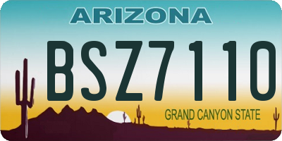 AZ license plate BSZ7110