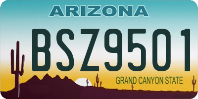 AZ license plate BSZ9501