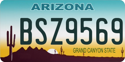 AZ license plate BSZ9569