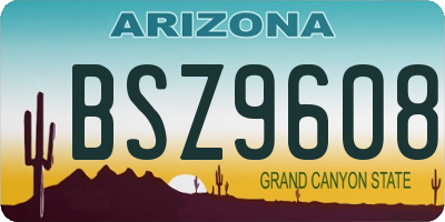 AZ license plate BSZ9608