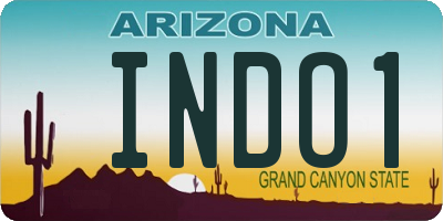 AZ license plate INDO1