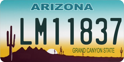 AZ license plate LM11837