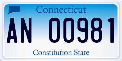 CT license plate AN00981