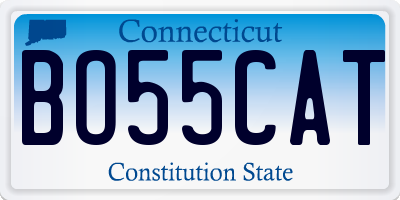 CT license plate BO55CAT