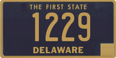 DE license plate 1229
