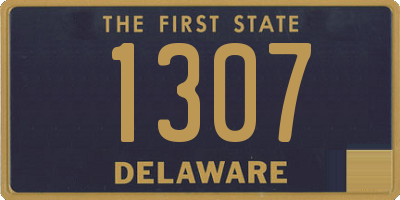 DE license plate 1307