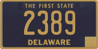 DE license plate 2389
