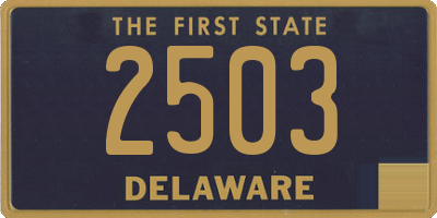 DE license plate 2503