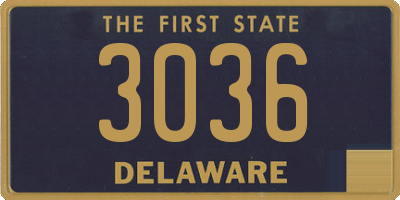 DE license plate 3036