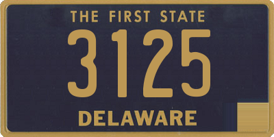 DE license plate 3125