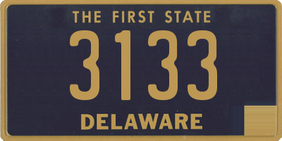 DE license plate 3133