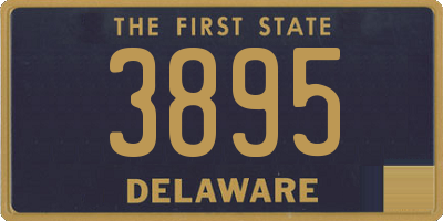 DE license plate 3895