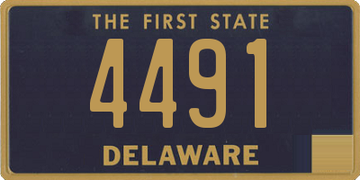 DE license plate 4491