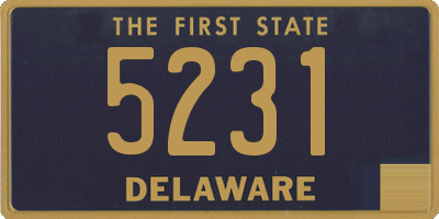 DE license plate 5231