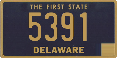 DE license plate 5391
