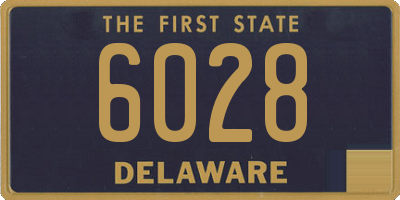 DE license plate 6028