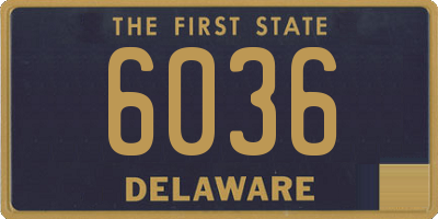DE license plate 6036