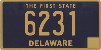DE license plate 6231