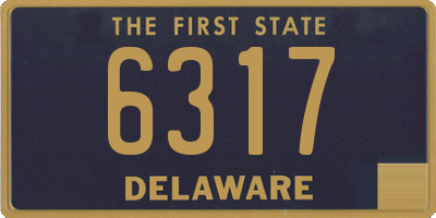 DE license plate 6317