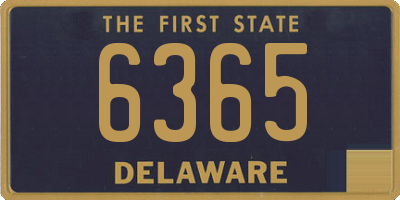 DE license plate 6365