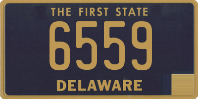 DE license plate 6559