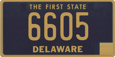 DE license plate 6605