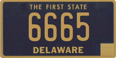 DE license plate 6665