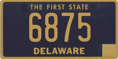 DE license plate 6875