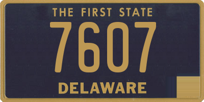 DE license plate 7607