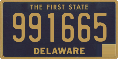 DE license plate 991665