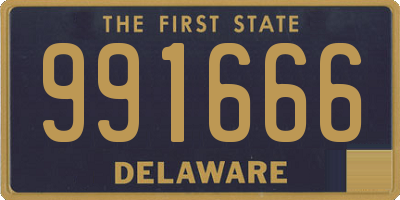DE license plate 991666