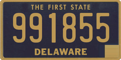 DE license plate 991855