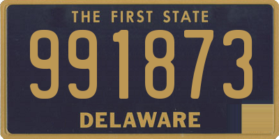 DE license plate 991873