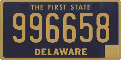 DE license plate 996658