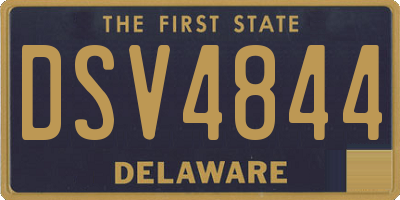 DE license plate DSV4844