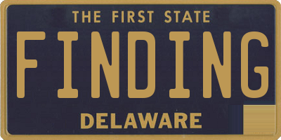 DE license plate FINDING