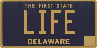DE license plate LIFE