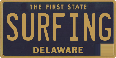DE license plate SURFING