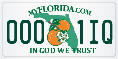 FL license plate 0001IQ
