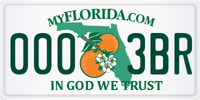 FL license plate 0003BR