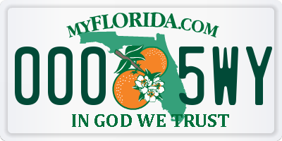 FL license plate 0005WY
